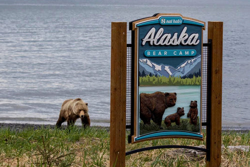 How to Pair Your Carved Sign with Landscaping for a Seamless Business Entrance